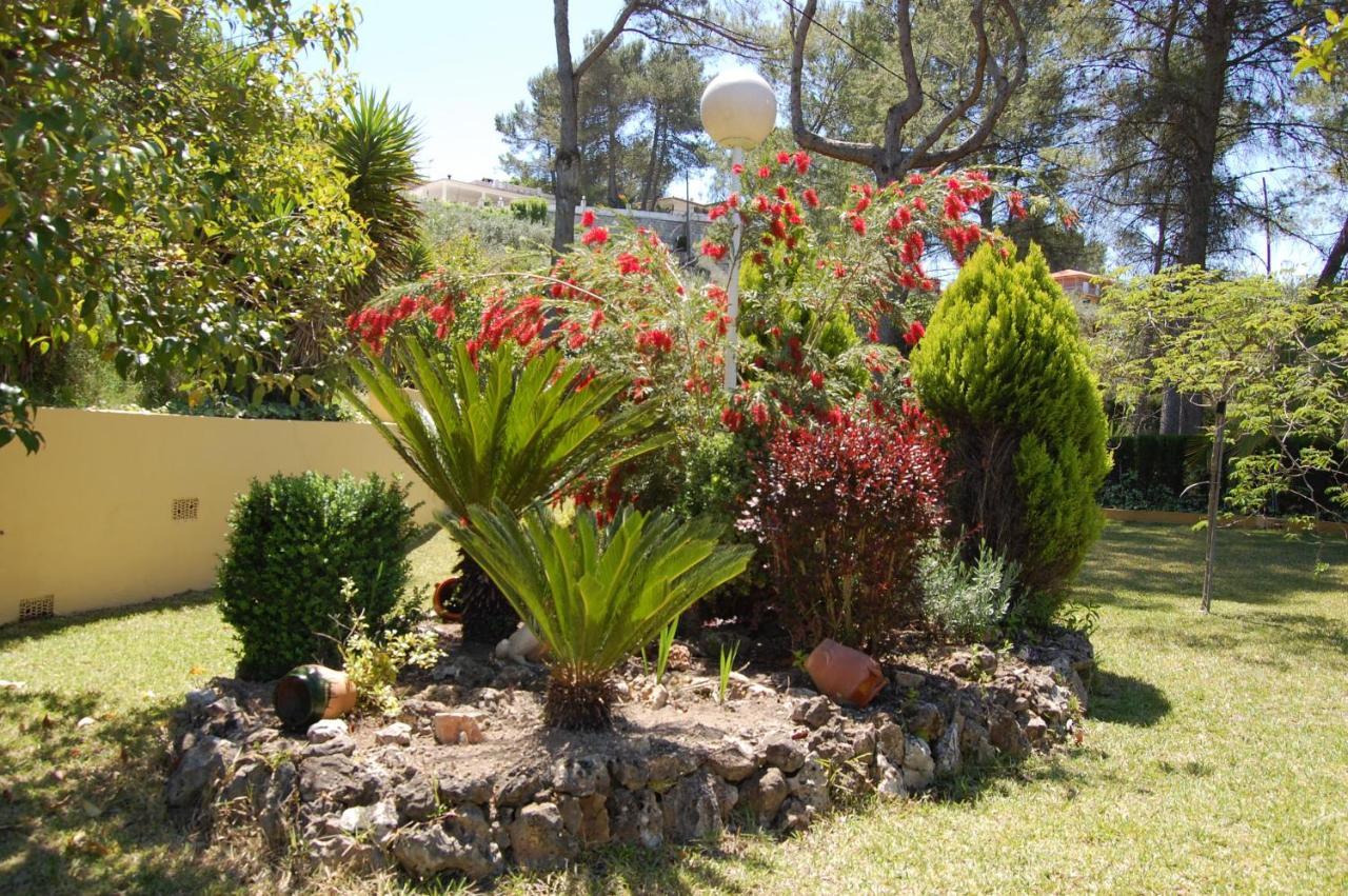Wonderful Villa, Heated Pool, Near Beautiful Town Alboy المظهر الخارجي الصورة